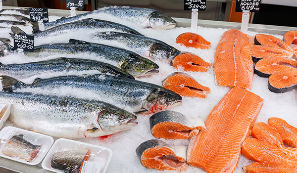 Farmed Salmon Cancer