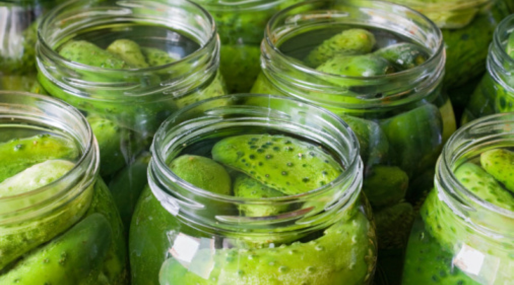 Pickles Cancer