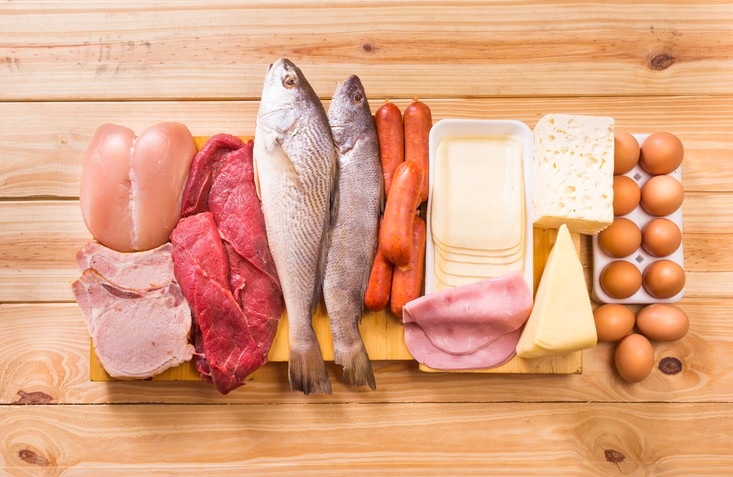 Animal based foods cancer